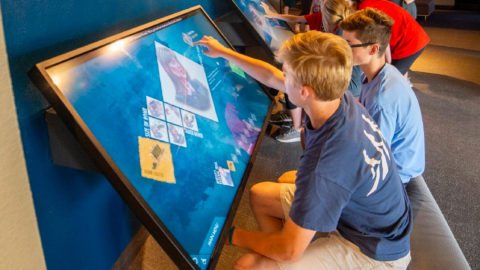 DESIGNED FOR YOUR CLASSROOM