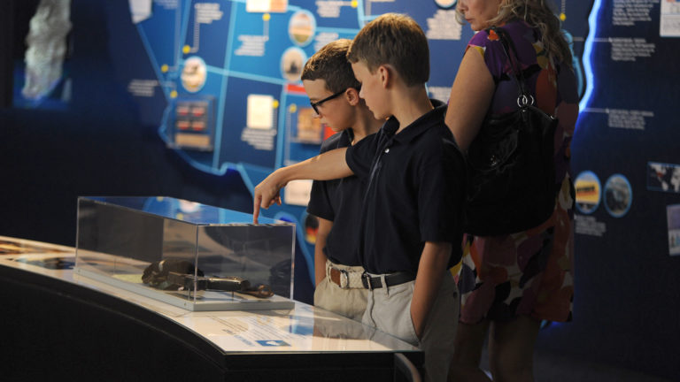 DISCOUNTED ADMISSION